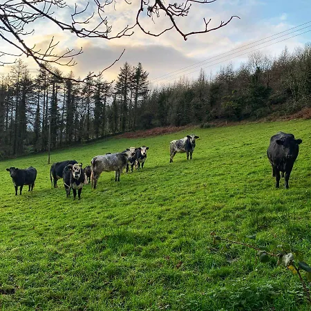 Designer Cabin With Private River Walk Feriehus Tipperary