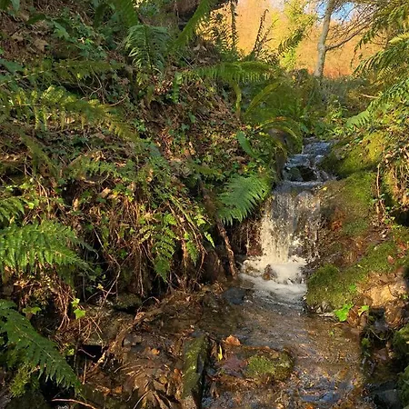 Designer Cabin With Private River Walk Feriehus Tipperary